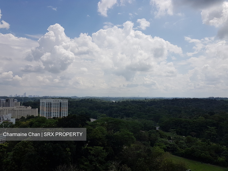 Eco Sanctuary thumbnail photo